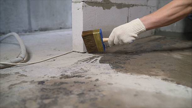 SJ Waterproofing Pros Waterproofing coverage map for Locust Grove, GA and surrounding area